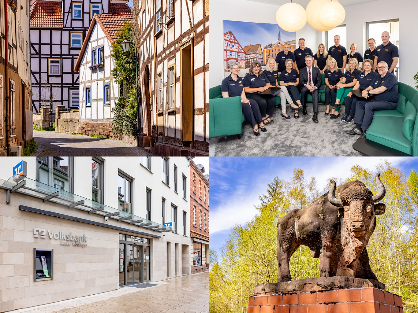 Das Titelbild besteht aus vier Einzelbildern, die zusammengelegt wurden. Links oben sieht man eine gepflasterte Straße, umringt von Fachwerkhäusern. Rechts oben sieht man mehrere Mitarbeitende der Volksbank Kassel-Göttingen auf einem grünen Sofa sitzend bzw. dahinter stehend, wobei in der Mitte der Vorstand der Volksbank sitzt. Links unten wiederum sieht man eine Geschäftsstelle der Volksbank Kassel-Göttingen und rechts unten sieht man eine Büffel-Statue auf einem Sockel.